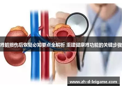 肾脏损伤后恢复必知要点全解析 重建健康肾功能的关键步骤 肾脏损伤后恢复必知要点全解析 重建健康肾功能的关键步骤